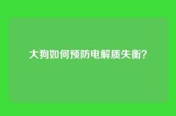 大狗如何预防电解质失衡？