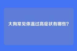 大狗常见体温过高症状有哪些？