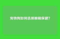 宠物狗如何选择眼睛保健？