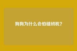 狗狗为什么会怕缝纫机？