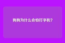 狗狗为什么会怕打字机？