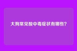 大狗常见酸中毒症状有哪些？
