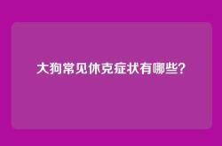 大狗常见休克症状有哪些？