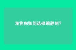 宠物狗如何选择镇静剂？