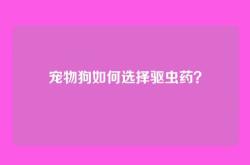 宠物狗如何选择驱虫药？