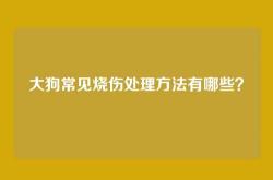 大狗常见烧伤处理方法有哪些？