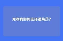 宠物狗如何选择退烧药？