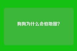狗狗为什么会怕地图？