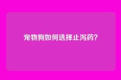 宠物狗如何选择止泻药？