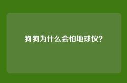 狗狗为什么会怕地球仪？