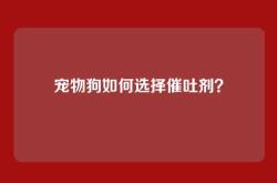 宠物狗如何选择催吐剂？