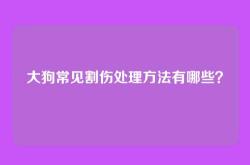 大狗常见割伤处理方法有哪些？