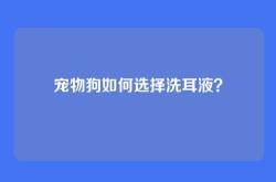 宠物狗如何选择洗耳液？