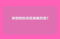 宠物狗如何选择眼药膏？