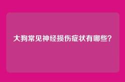 大狗常见神经损伤症状有哪些？