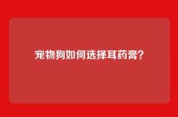 宠物狗如何选择耳药膏？
