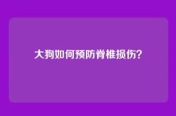 大狗如何预防脊椎损伤？