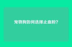 宠物狗如何选择止血粉？