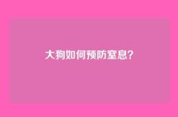 大狗如何预防窒息？