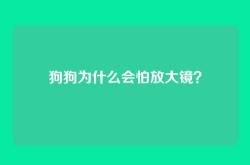 狗狗为什么会怕放大镜？