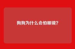 狗狗为什么会怕眼镜？