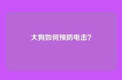 大狗如何预防电击？