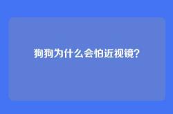 狗狗为什么会怕近视镜？