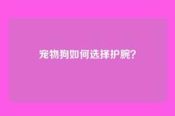 宠物狗如何选择护腕？