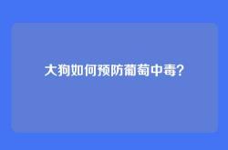 大狗如何预防葡萄中毒？