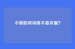 小狗如何训练不追衣服？