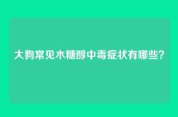 大狗常见木糖醇中毒症状有哪些？