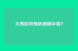 大狗如何预防酒精中毒？