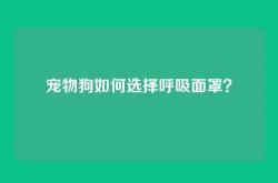 宠物狗如何选择呼吸面罩？