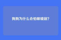 狗狗为什么会怕眼镜链？