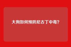 大狗如何预防尼古丁中毒？
