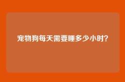 宠物狗每天需要睡多少小时？