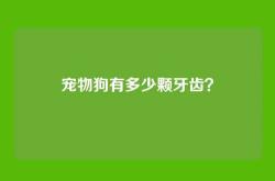 宠物狗有多少颗牙齿？