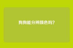 狗狗能分辨颜色吗？