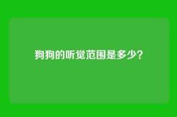 狗狗的听觉范围是多少？