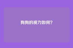 狗狗的视力如何？