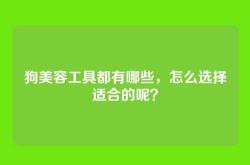 狗美容工具都有哪些，怎么选择适合的呢？