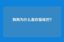 狗狗为什么喜欢摇尾巴？