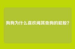 狗狗为什么喜欢闻其他狗的屁股？