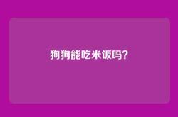 狗狗能吃米饭吗？