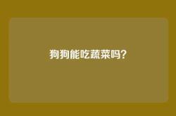 狗狗能吃蔬菜吗？