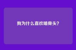 狗为什么喜欢啃骨头？