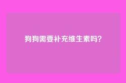 狗狗需要补充维生素吗？