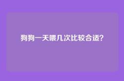 狗狗一天喂几次比较合适？