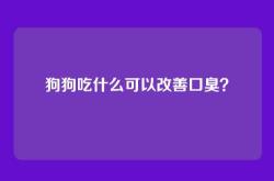 狗狗吃什么可以改善口臭？