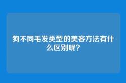 狗不同毛发类型的美容方法有什么区别呢？
